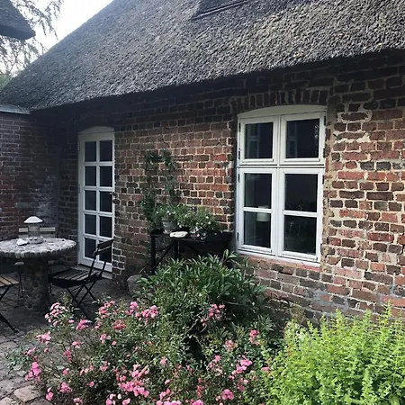 Agerfeld Gl. Skole ホルステブロー